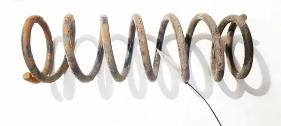 Rear coil spring