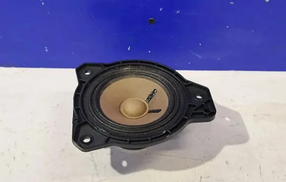Polestar 2 Panel speaker 31456870