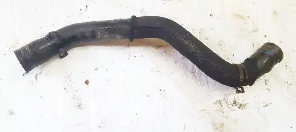 Renault Scenic I Engine coolant pipe/hose