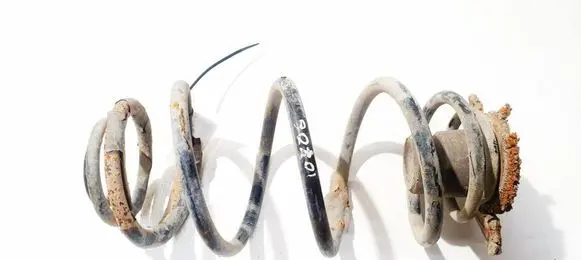 Rear coil spring