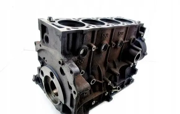 Ford Focus Engine block G6DD