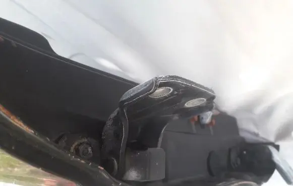 Rear door lower hinge