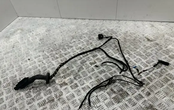BMW 3 F30 F35 F31 Front door wiring loom 19344411 9366761 F30032017
