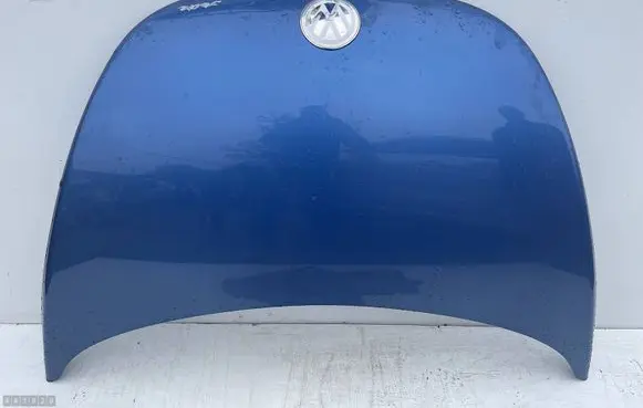 Volkswagen New Beetle Engine bonnet/hood