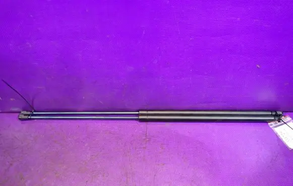 Tailgate strut