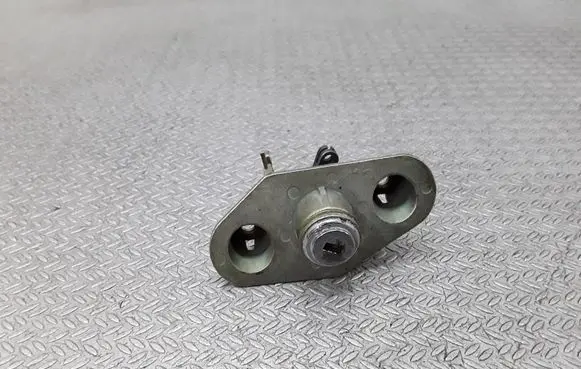 Volvo S60 Tailgate exterior lock 737700001