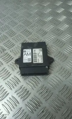 Opel Vectra C Door control unit/module 13111457