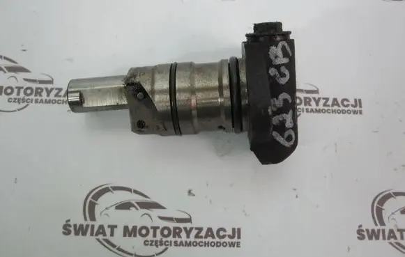 Land Rover Range Rover Sport L320 Timing belt/chain tensioner 03040810