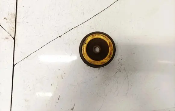 Coil spring mount