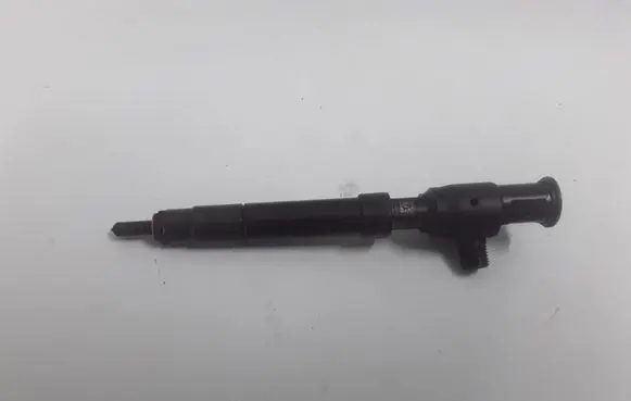 Ford Galaxy Fuel injector 16132317302