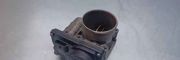 Opel Signum Throttle valve RMA60 22102