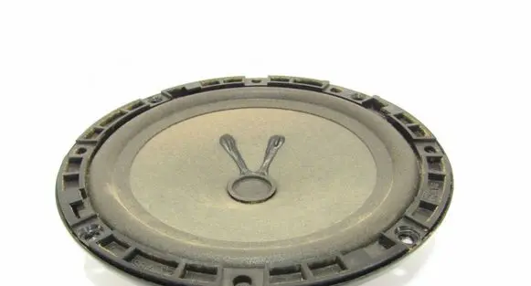 Fiat Doblo Rear door speaker