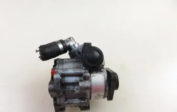 Volkswagen PASSAT B5.5 Power steering pump