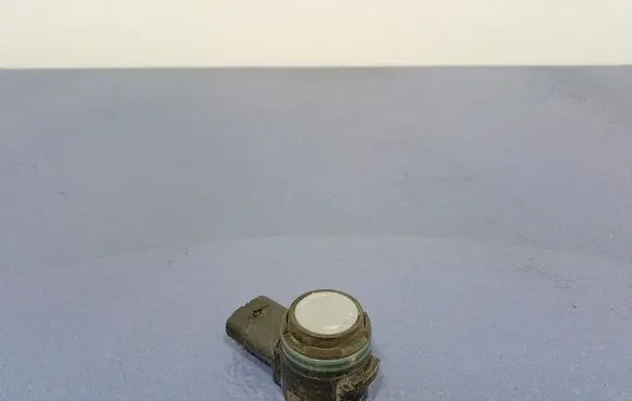 Volkswagen Arteon Parking PDC control unit/module 5Q0919275B