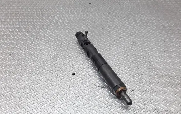 Renault Megane II Fuel injector EJBR05102D