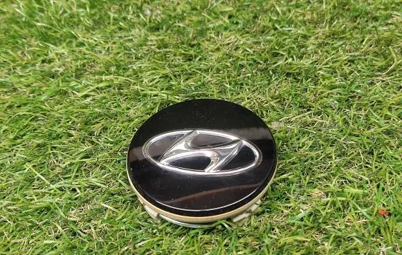 Hyundai Santa Fe Original wheel cap 529603W210 529603S110
