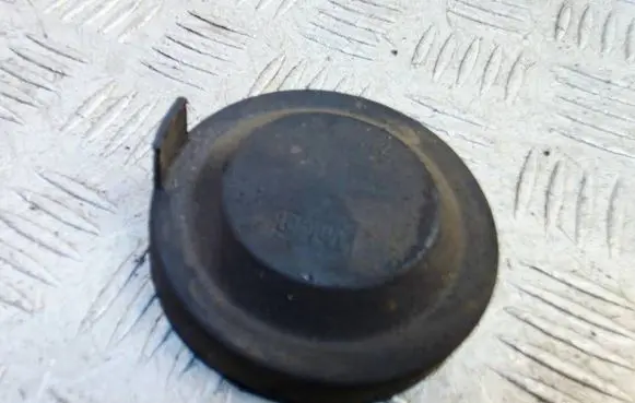 Volkswagen PASSAT B7 Headlight/headlamp dust cover 89004031