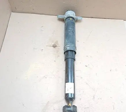 Ford Mustang Mach-E Rear shock absorber/damper LJ9C18080EBE LJ9C18159AA