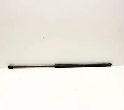 Tailgate/trunk strut/damper