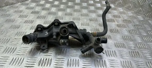Thermostat/thermostat housing