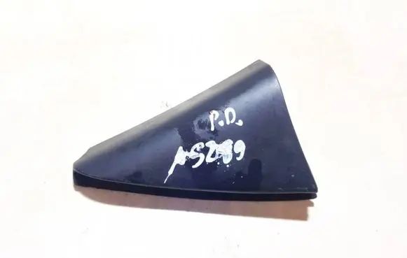 Renault Laguna II Other interior part 8200000088