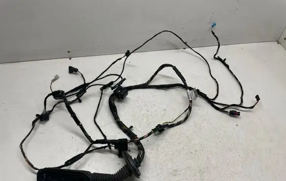 BMW X5 E70 Front door wiring loom 9242076