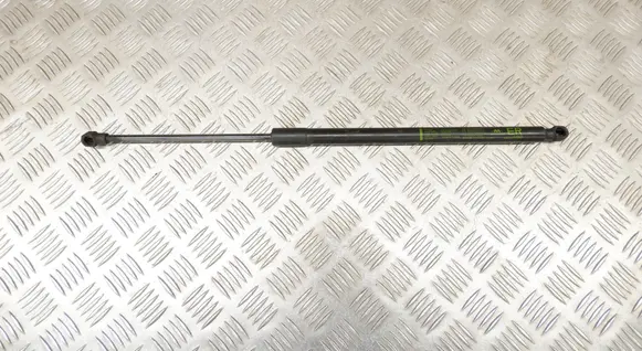 Tailgate/trunk strut/damper