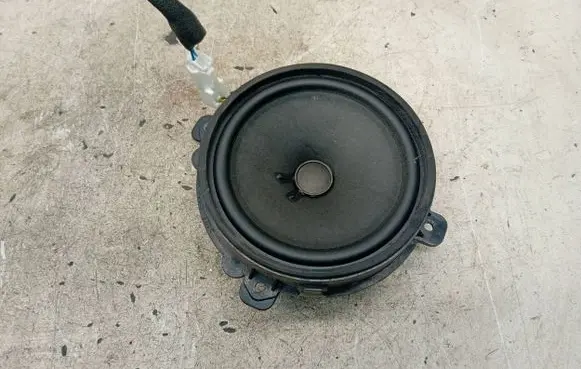 Opel Antara Front door speaker 96673592