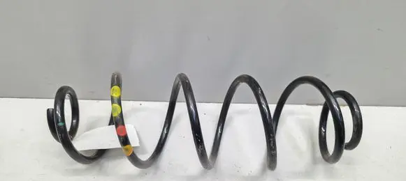 Rear coil spring