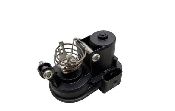 Volkswagen Crafter Intake manifold valve actuator/motor 2659821X 2659822X