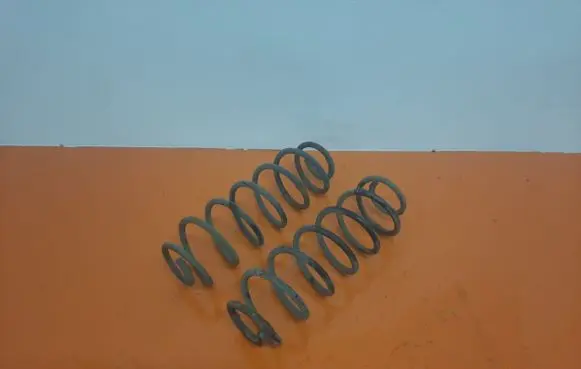 Ford Fiesta Rear coil spring