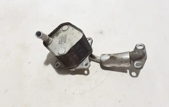 Toyota Hilux (AN120, AN130) Oil filter mounting bracket 150710E010
