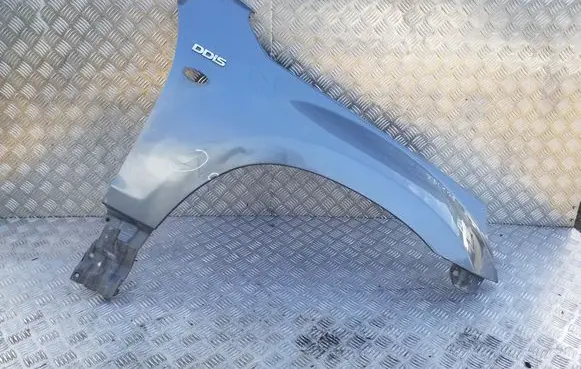 Suzuki Grand Vitara II Fender