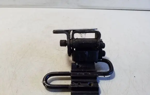 Rear door lower hinge