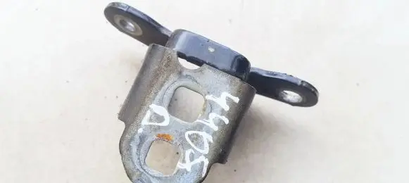 Rear door lower hinge