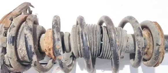 Nissan Primera Rear coil spring