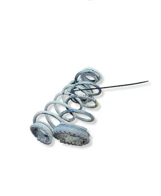 Fiat Punto (199) Rear coil spring 