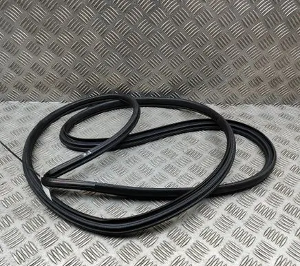 Lexus RZ Rubber seal front coupe door 6786246030