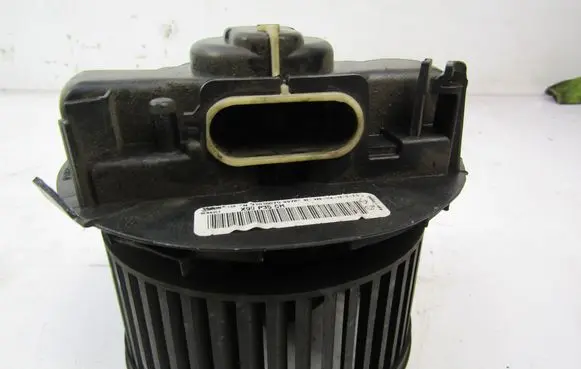 Dacia Logan I Heater fan/blower N101507G
