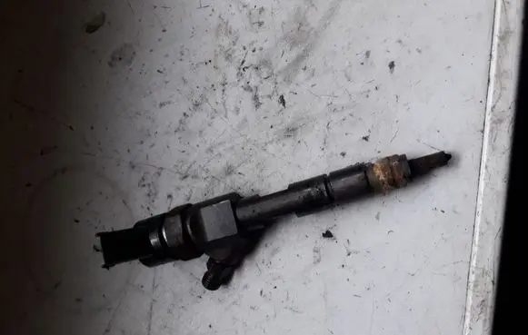 Renault Scenic II - Grand scenic II Fuel injector 0445110110B