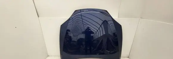 Tesla Model S Engine bonnet/hood