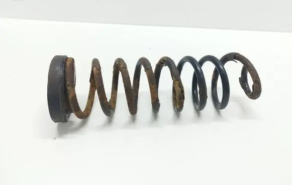 Rear coil spring