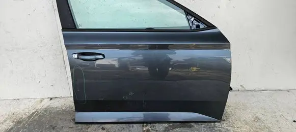 Skoda Superb B8 (3V) Front door 