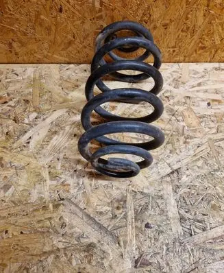 Rear coil spring
