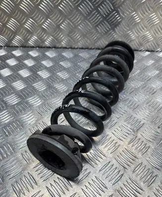 Opel Insignia B Rear coil spring AA6L4