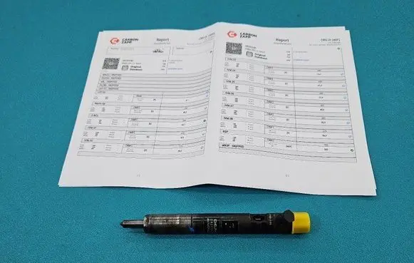 Renault Scenic II - Grand scenic II Fuel injector 28232248 IMPRK1446052