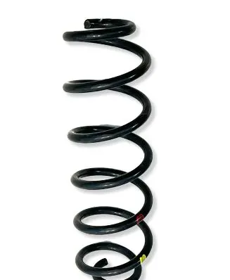 Lexus UX Rear coil spring 