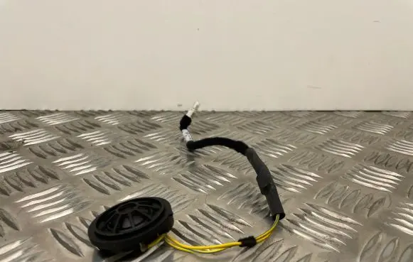 BMW X6 E71 High frequency speaker in the rear doors 7842194