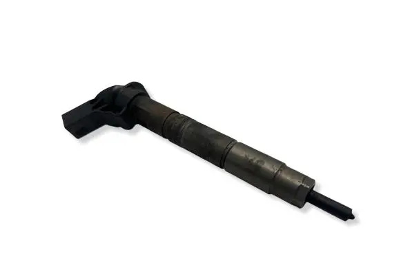 Mercedes-Benz R W251 Fuel injector A6420701387