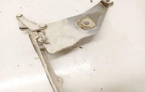 BMW X6 E71 Engine bonnet/hood hinges t20862701
